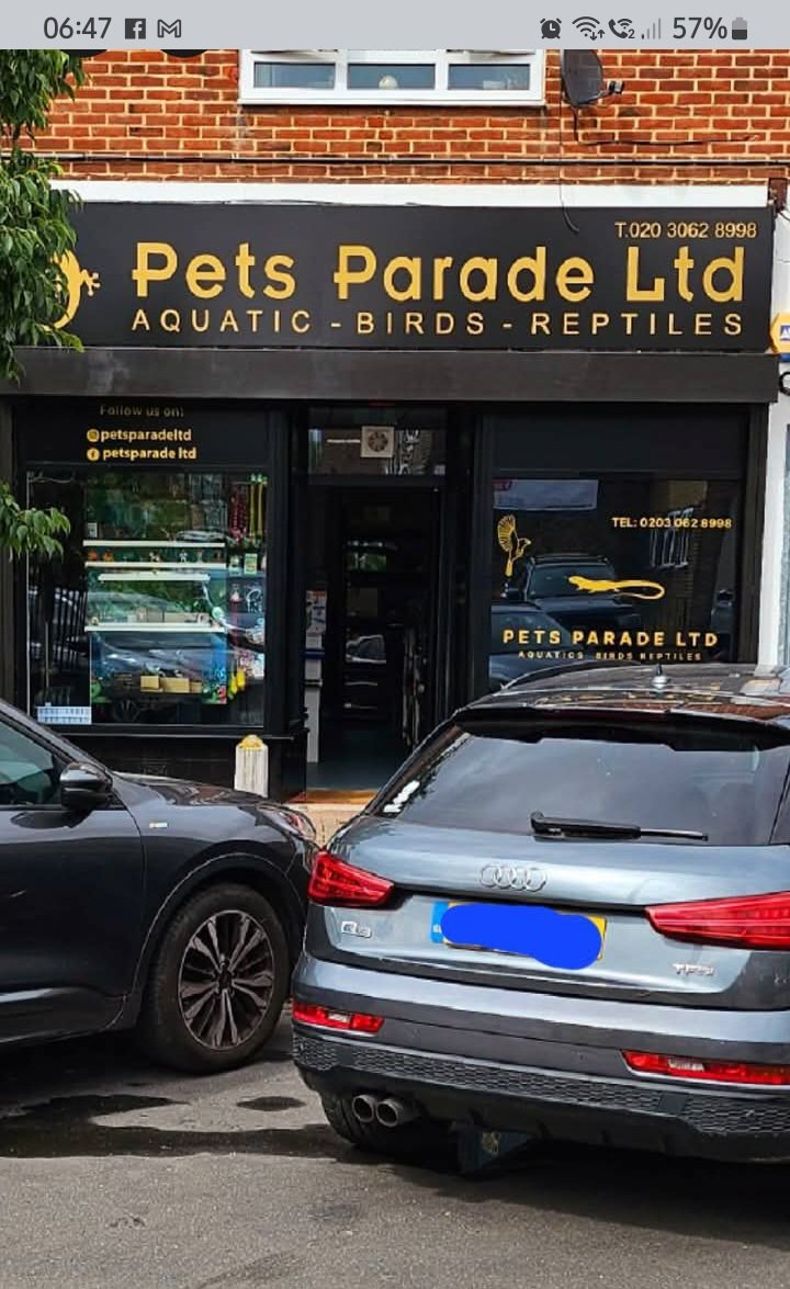 Pets Parade Ltd - Photo 2