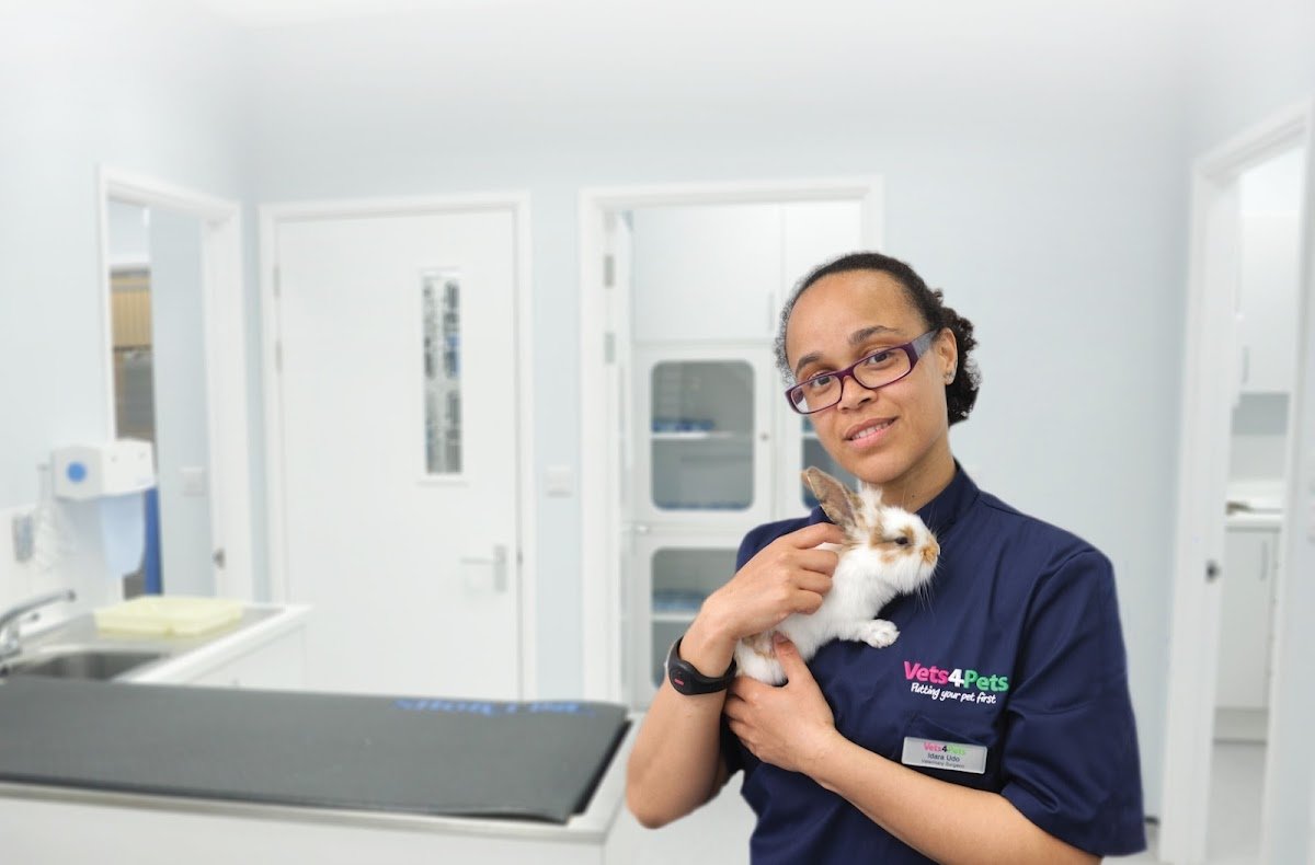 Vets4Pets - Blackheath - Photo 2