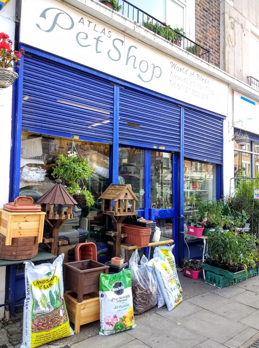 Pets Come First, Welling - Photo 2