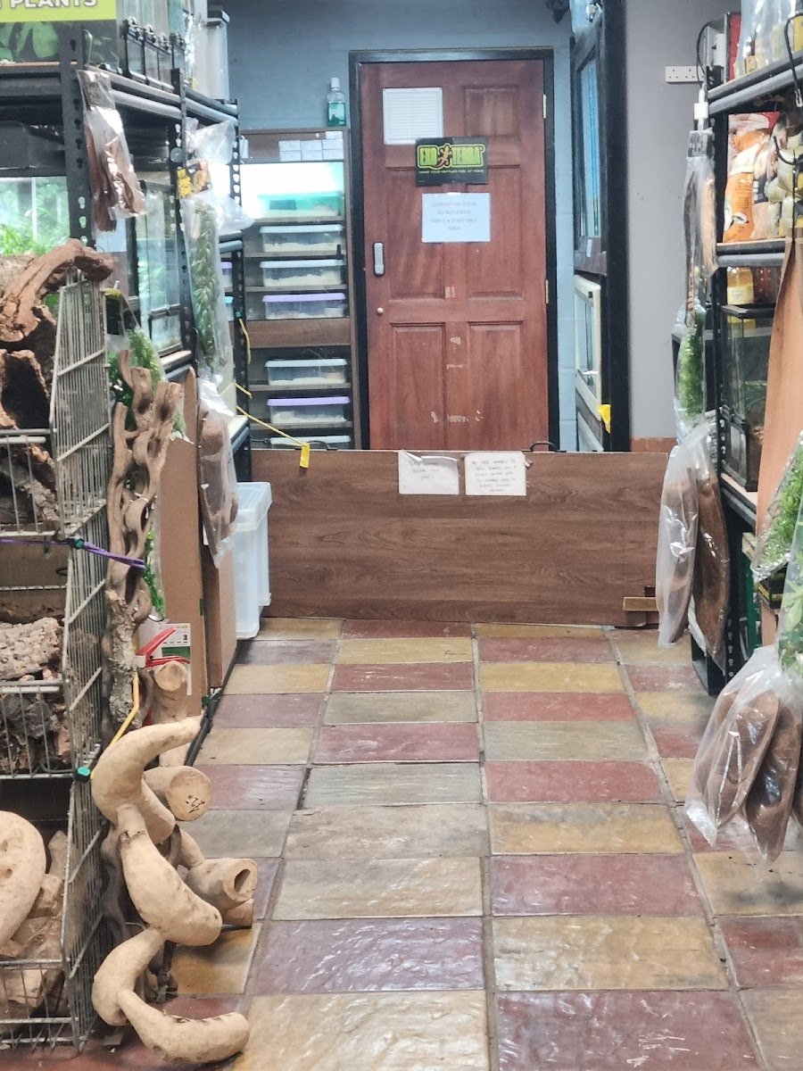 Crews Hill Reptiles - Photo 2