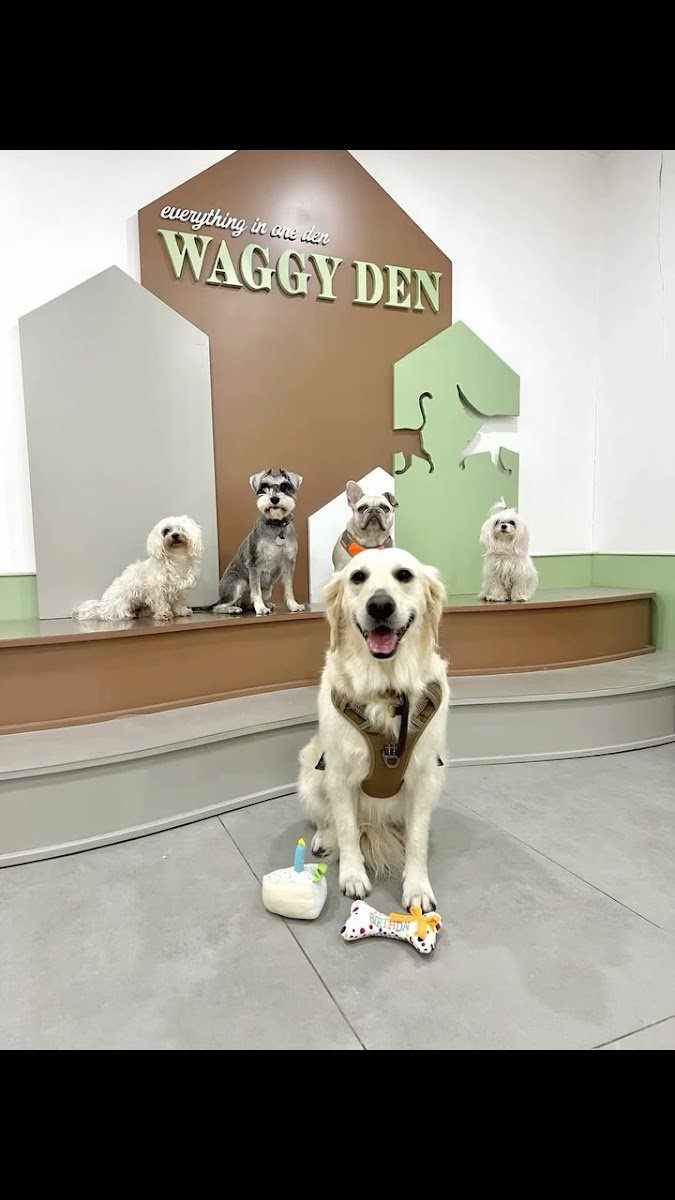 Waggy Den - Photo 2