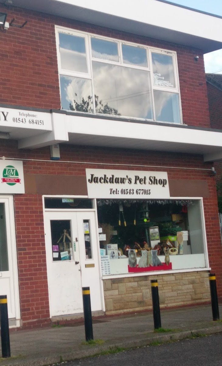 Jackdaws Pet Supplies - Photo 2