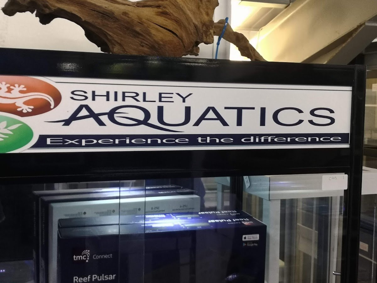 Shirley Aquatics - Photo 2