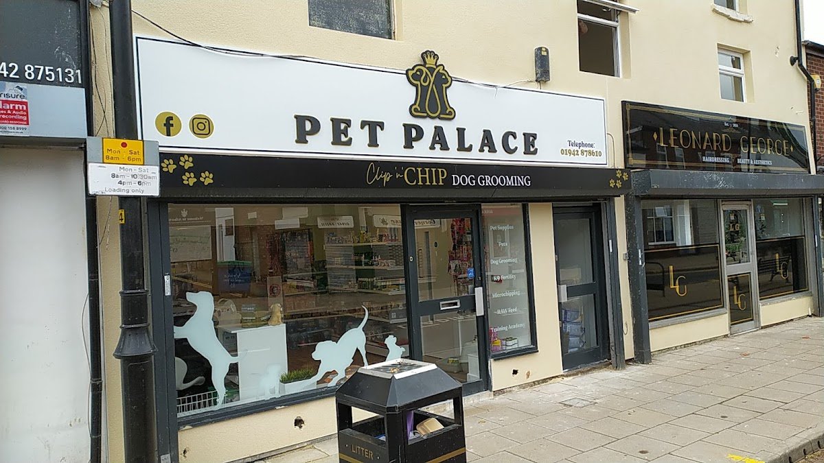 Pet Palace - Photo 2