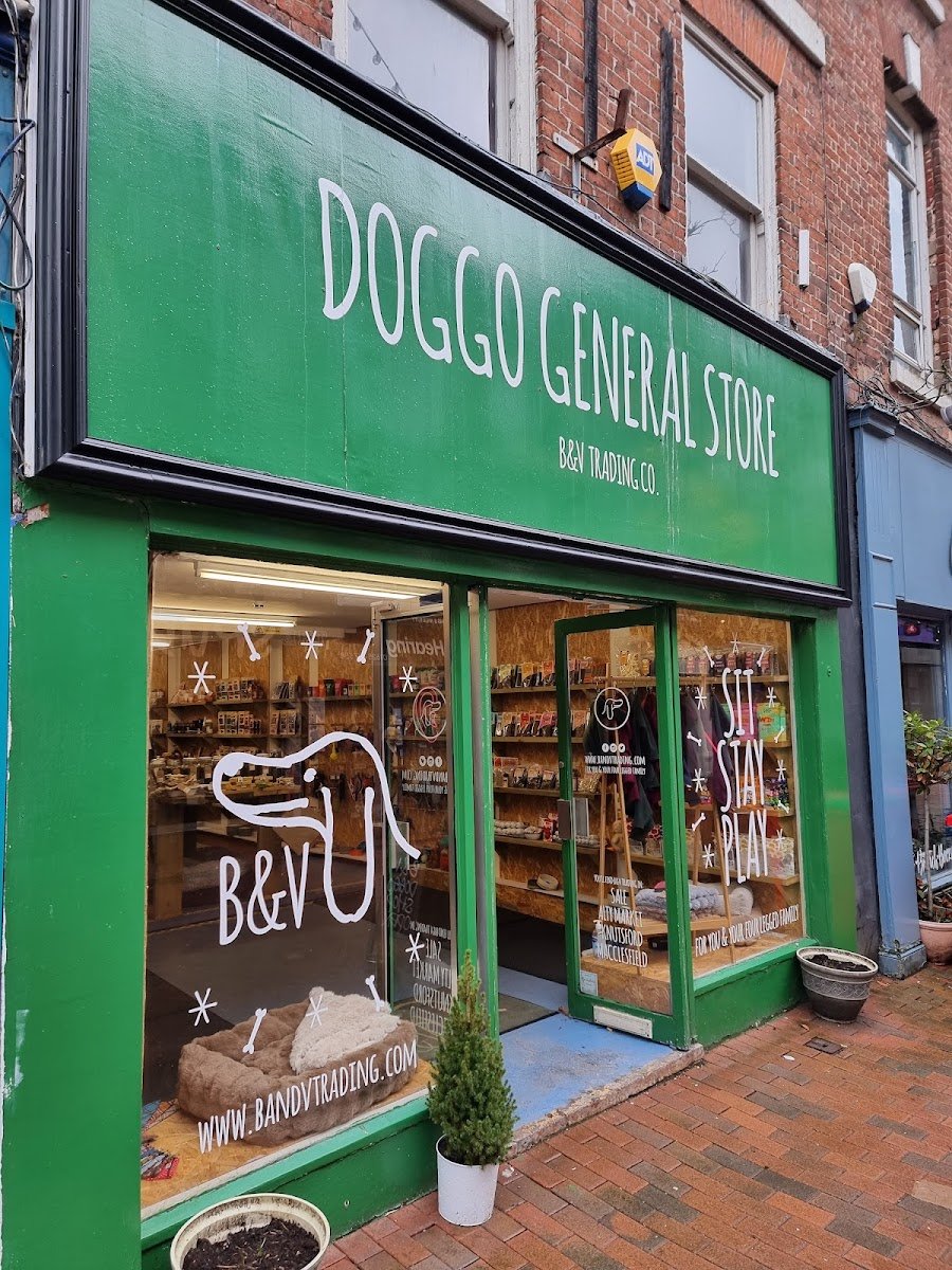 Doggo General Store - Photo 2