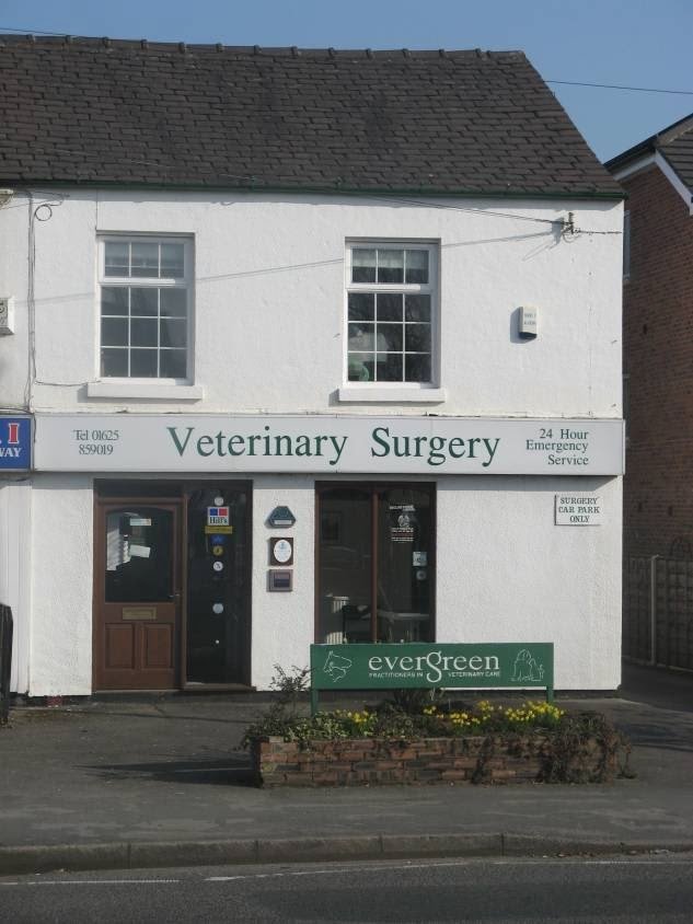 Evergreen Vets - Photo 2