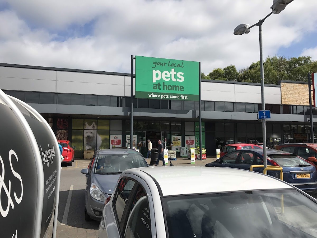 Pet City - Photo 2