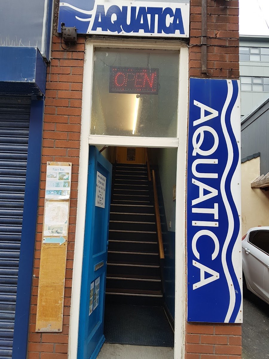Aquatica Ltd - Photo 2