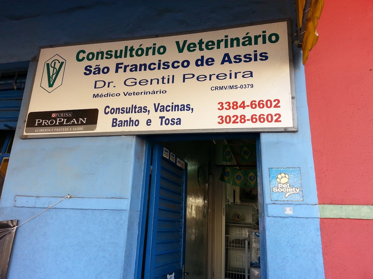 Consultório Veterinário São Francisco De Assis