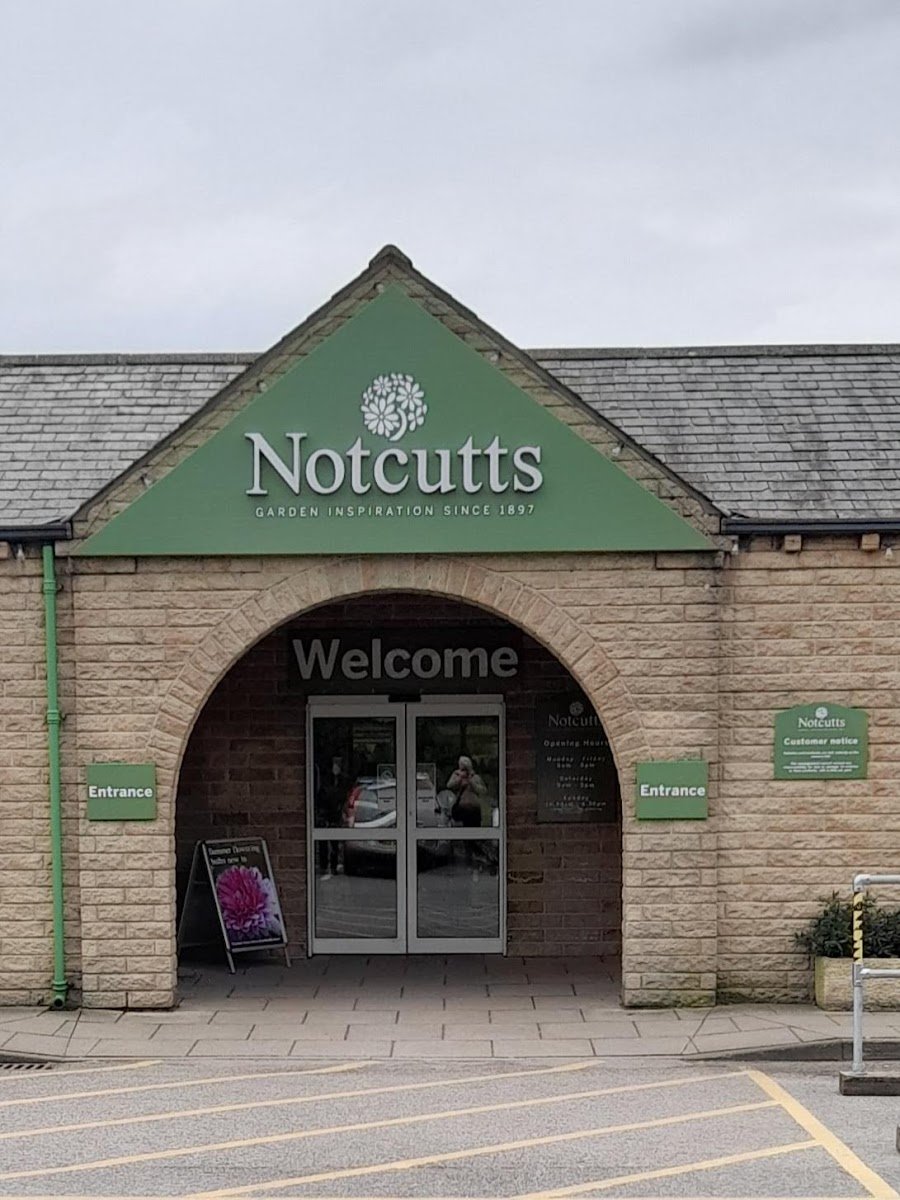 Notcutts Victoria - Photo 4