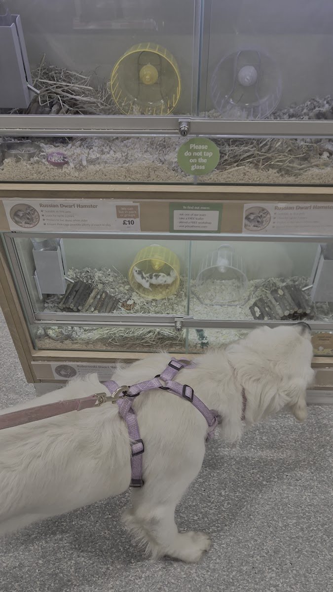 Pets at Home Wakefield - Photo 3