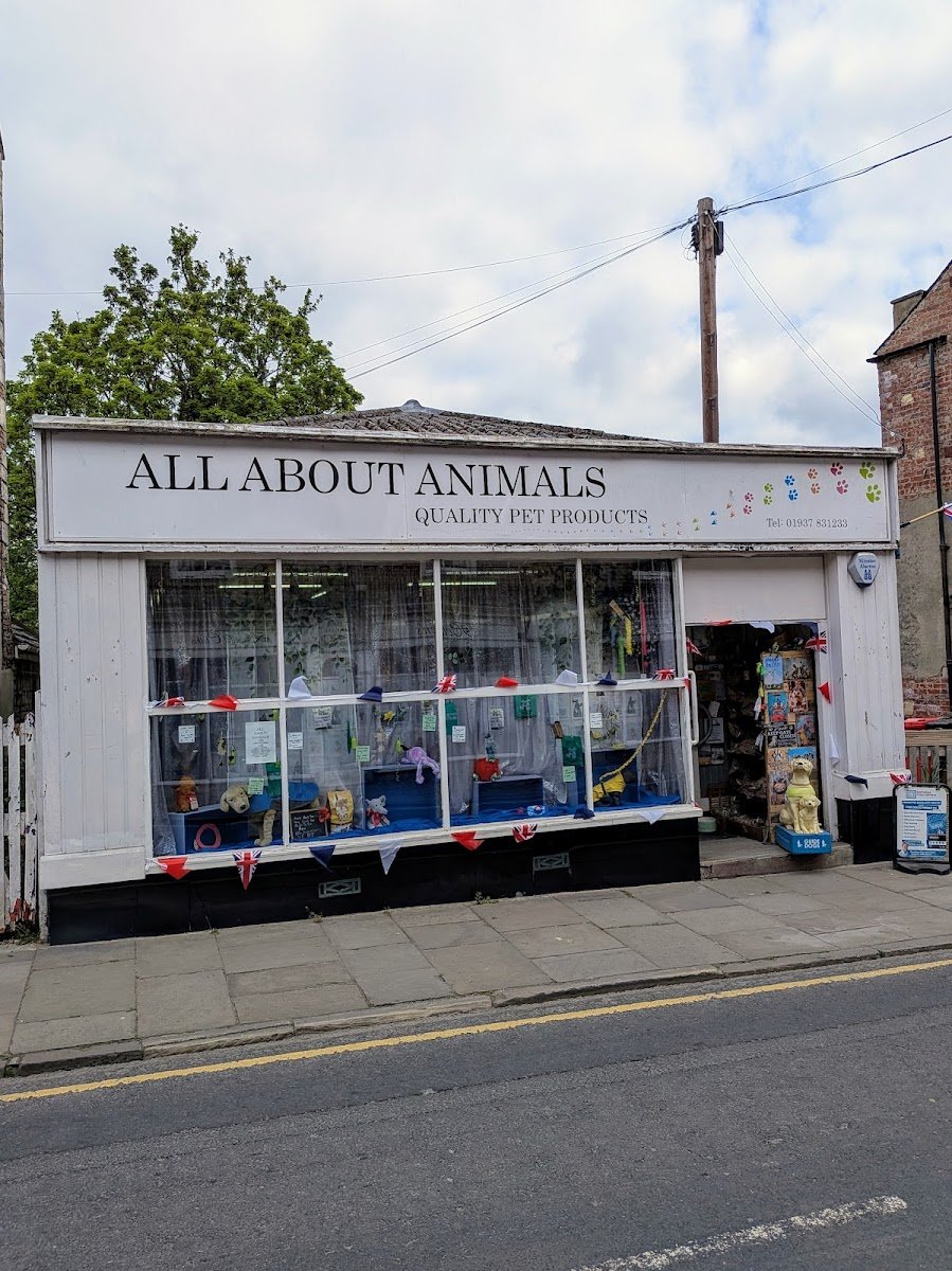 All About Animals - Photo 2
