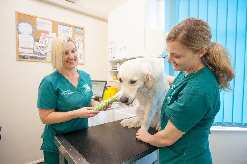 Beechwood Veterinary Group, Beeston - Photo 2