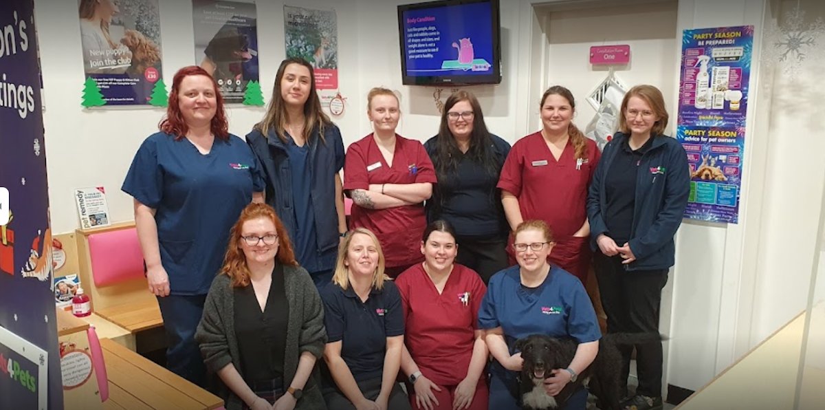Vets4Pets - Wakefield Westgate - Photo 2