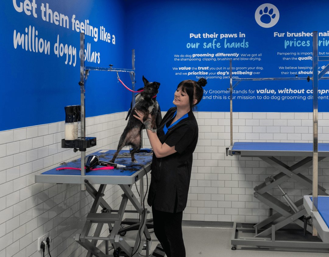 The Jolly Groomer - Harrogate - Photo 2