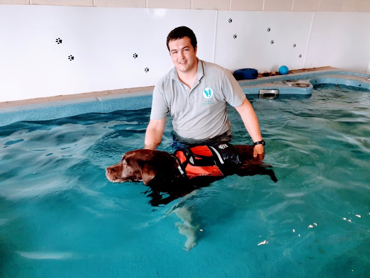 Fit paws hydrotherapy - Photo 5