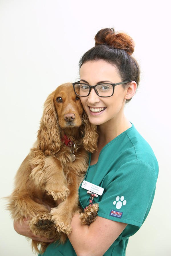 Chantry Vets Surgery, Pontefract - Photo 2