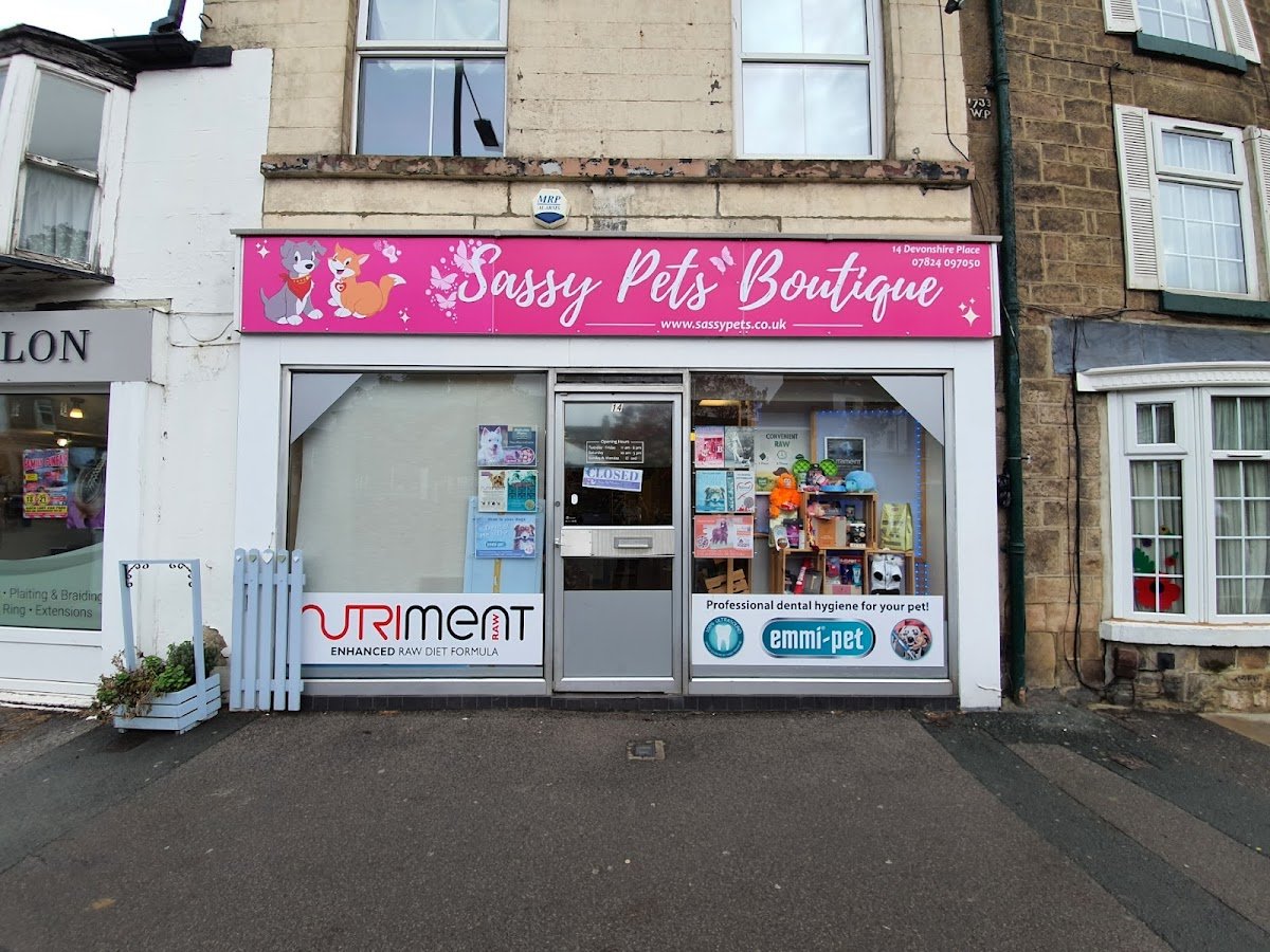 Sassy Pets Boutique - Photo 2