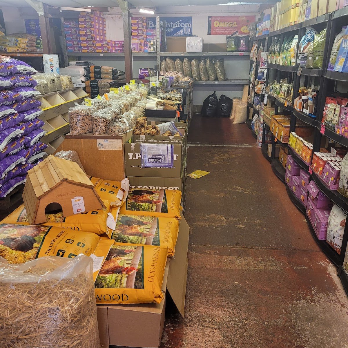 Forest Feeds - Photo 2