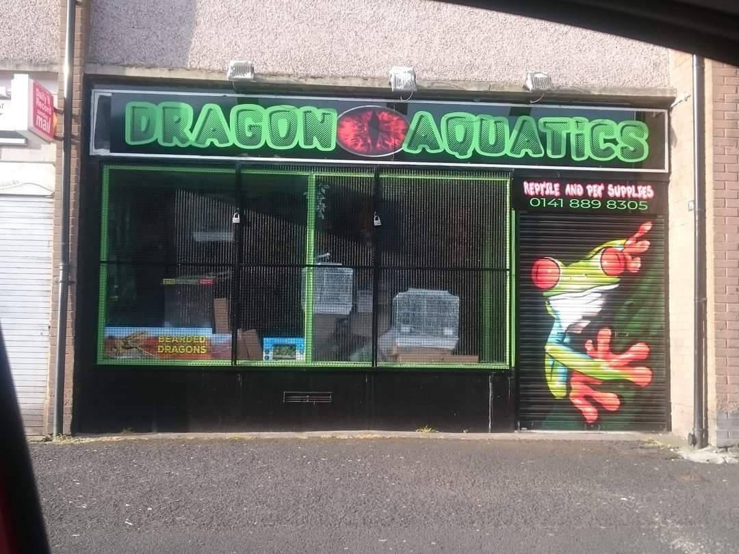 Dragon Aquatics - Photo 2