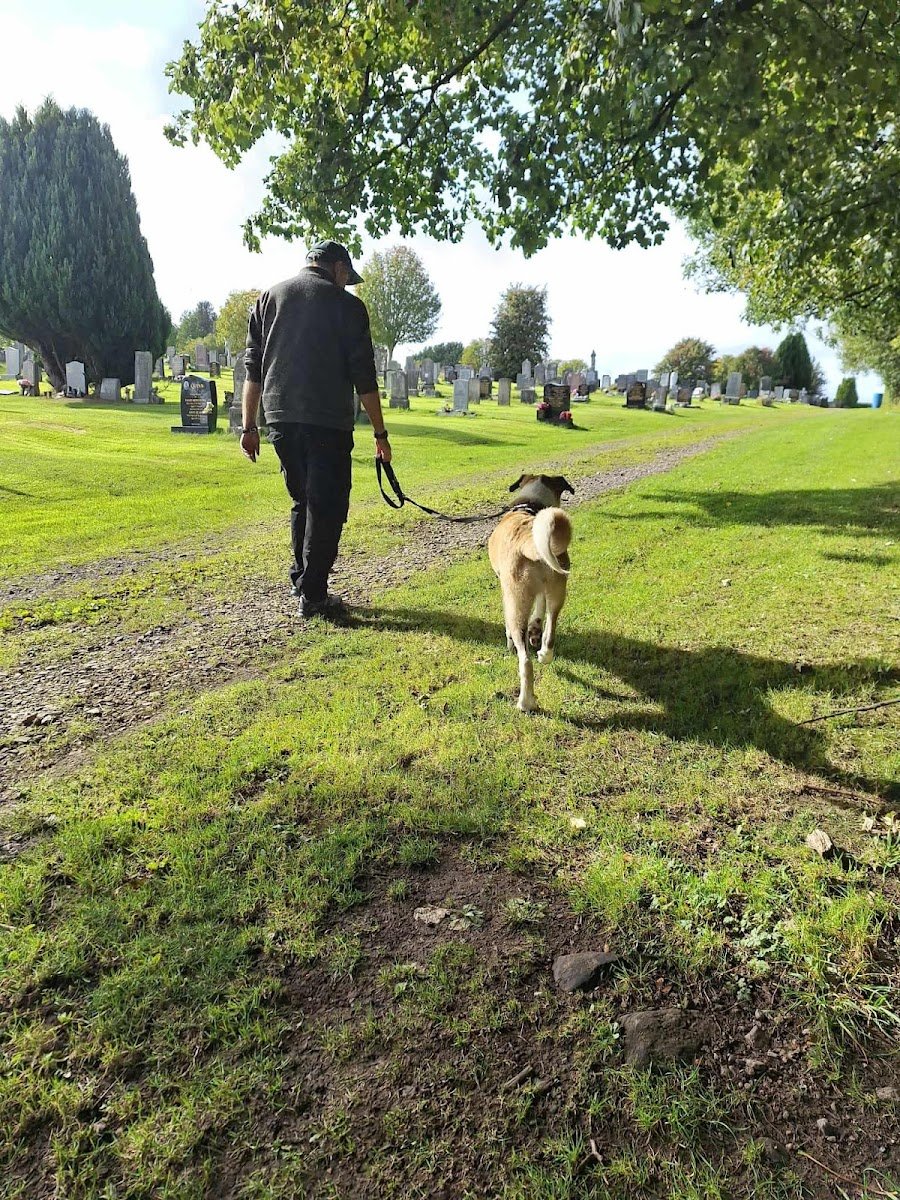 Levernbank Kennels - Photo 2