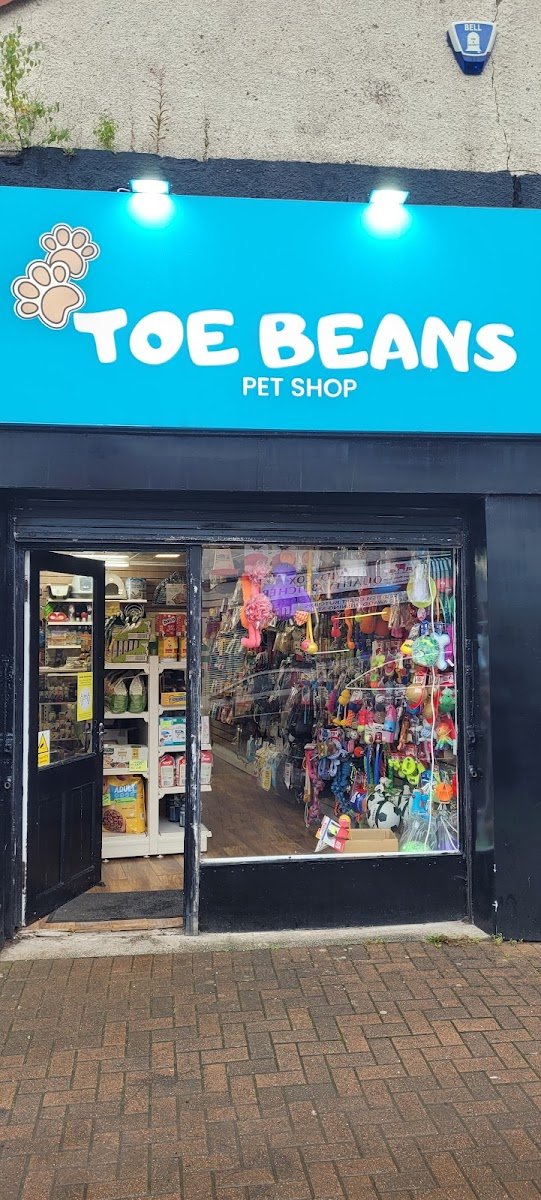 Toe Beans Pet Shop - Photo 2