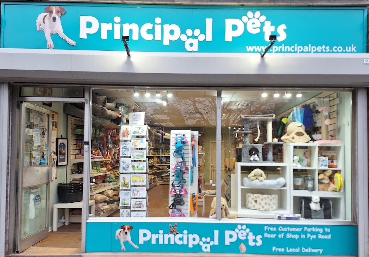 Principal Pets - Photo 2
