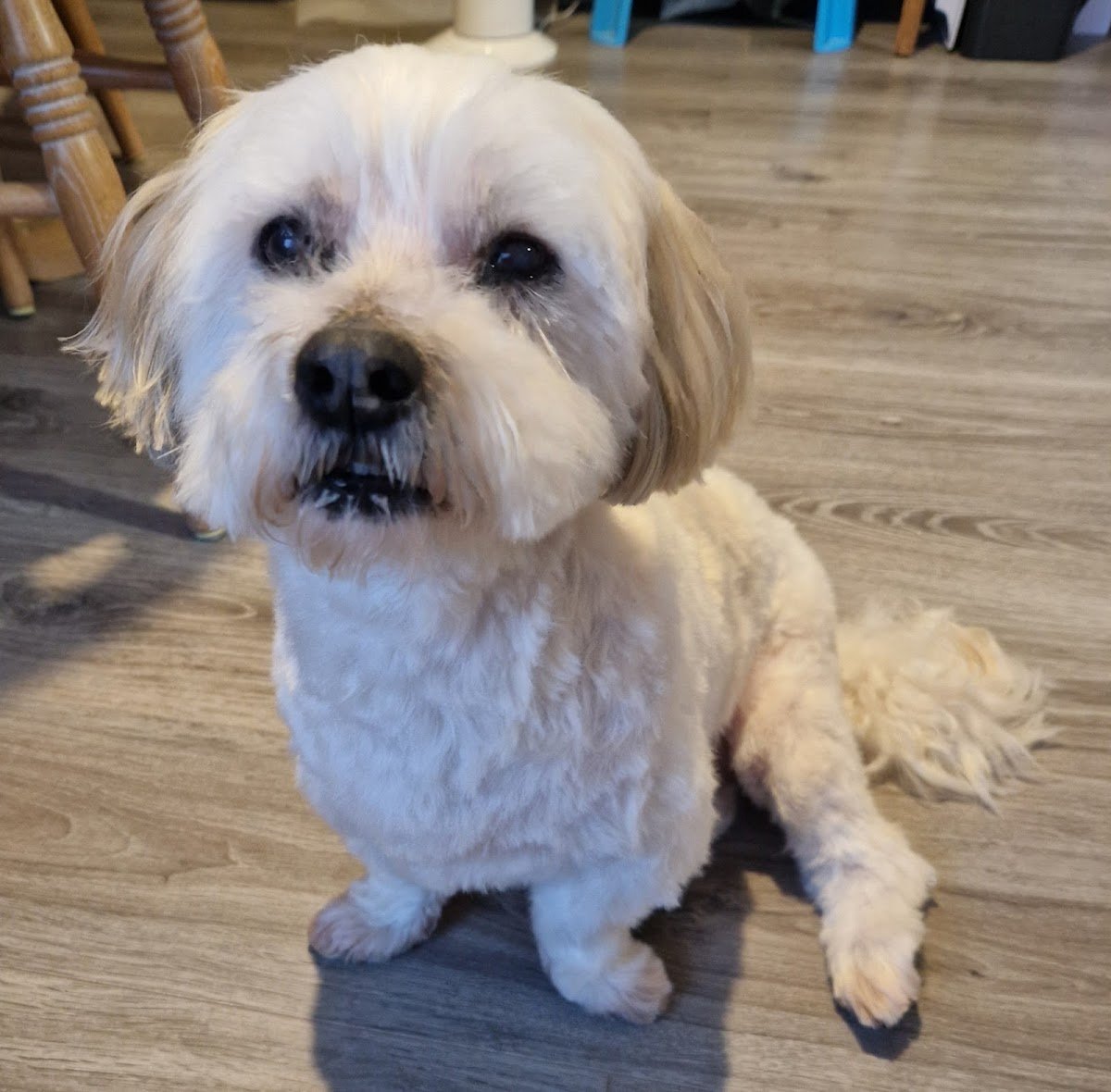 Mutleys Makeovers - Photo 2