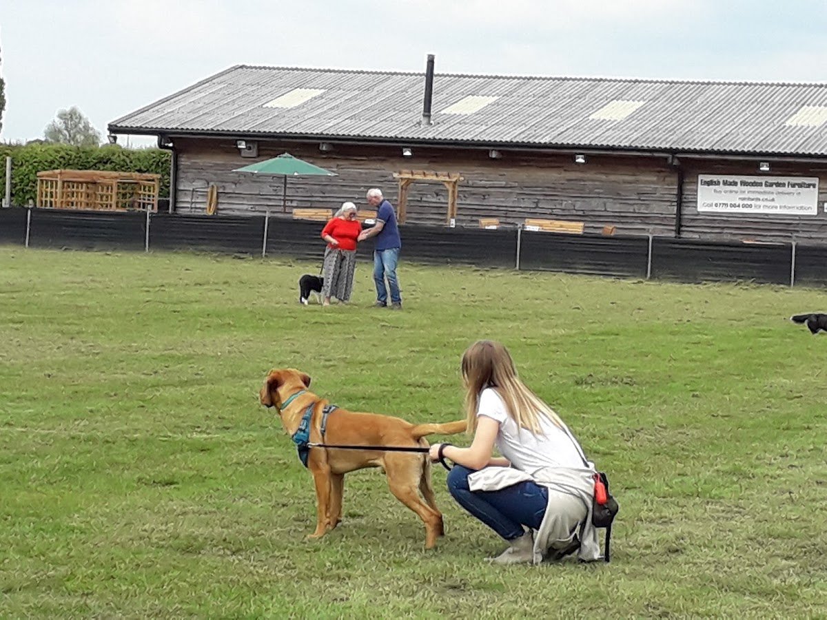 The K9 Barn - Photo 2