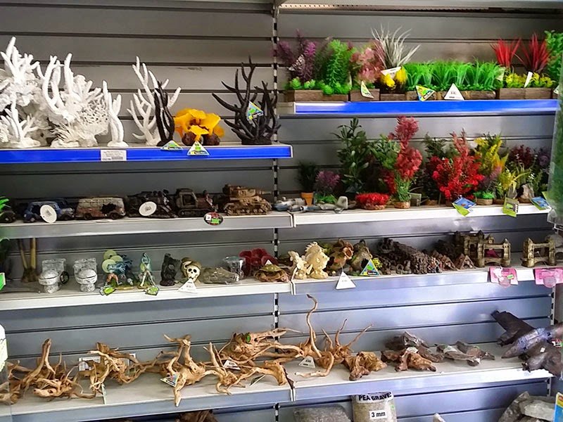 Sutton Pets & Exotics - Photo 2