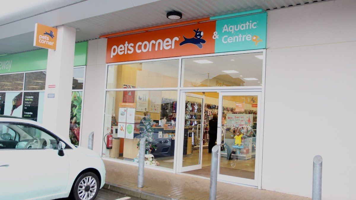 Pets Corner - Photo 2