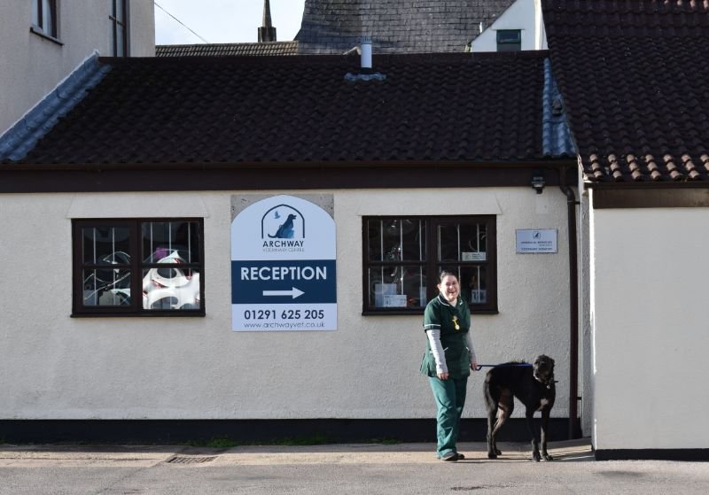 Archway Veterinary Centre - Photo 2