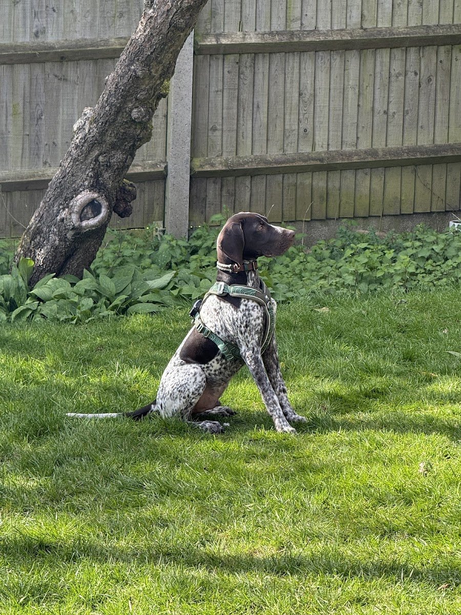 Twiggy Tags - Photo 2