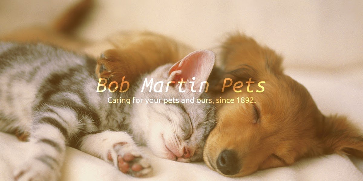 Bob Martin - Photo 2