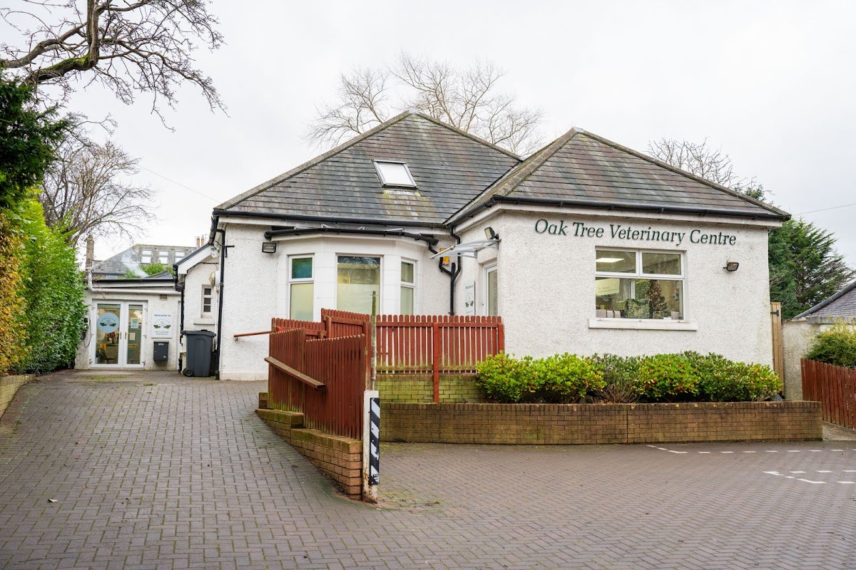 Oak Tree Vet Centre - Photo 2