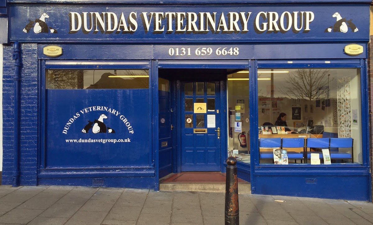 Dundas Veterinary Group - Photo 2