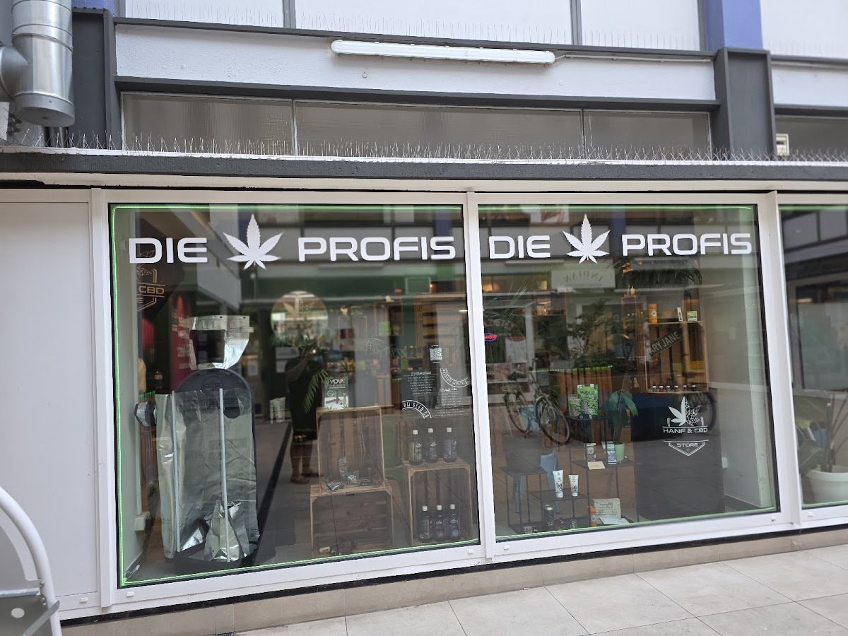 Die Hanf Profis - Hanf & CBD Store - Foto 2