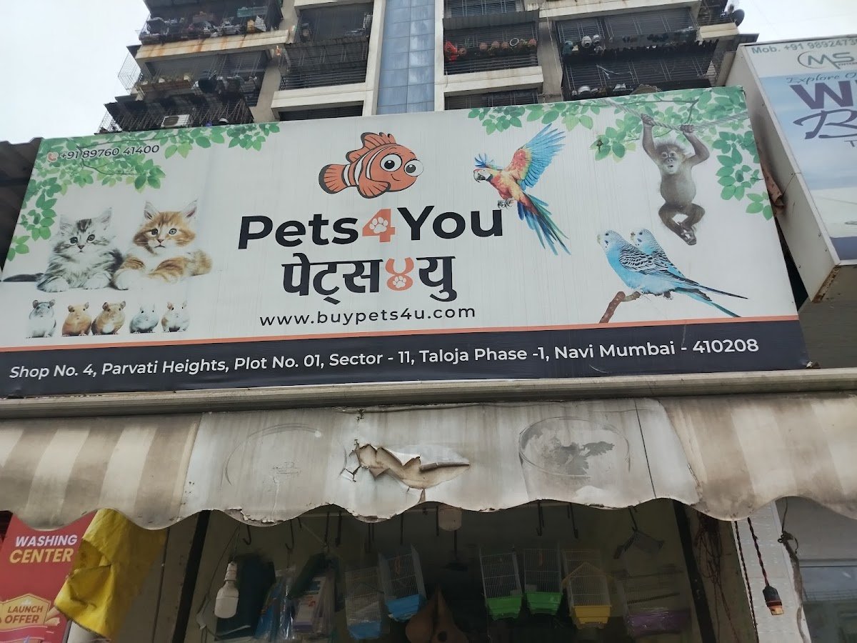 Pets 4 You - Photo 2