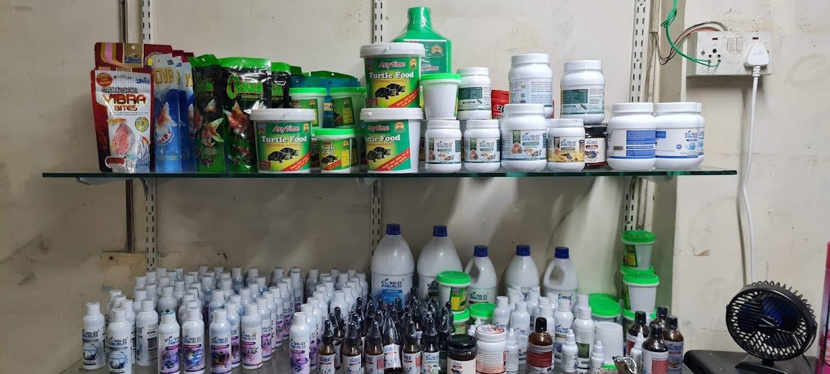 Shetty's Pet Shop - Photo 2