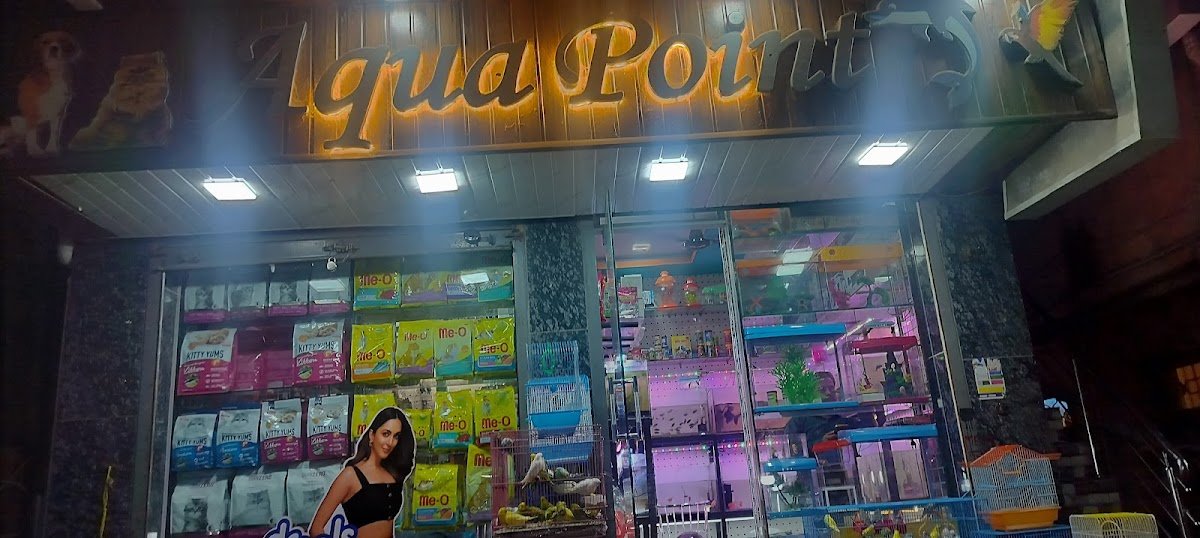Aqua point - Photo 2