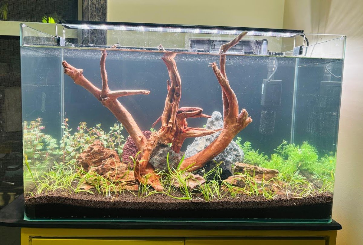 Paradise Aquarium And Pets Store - Photo 2