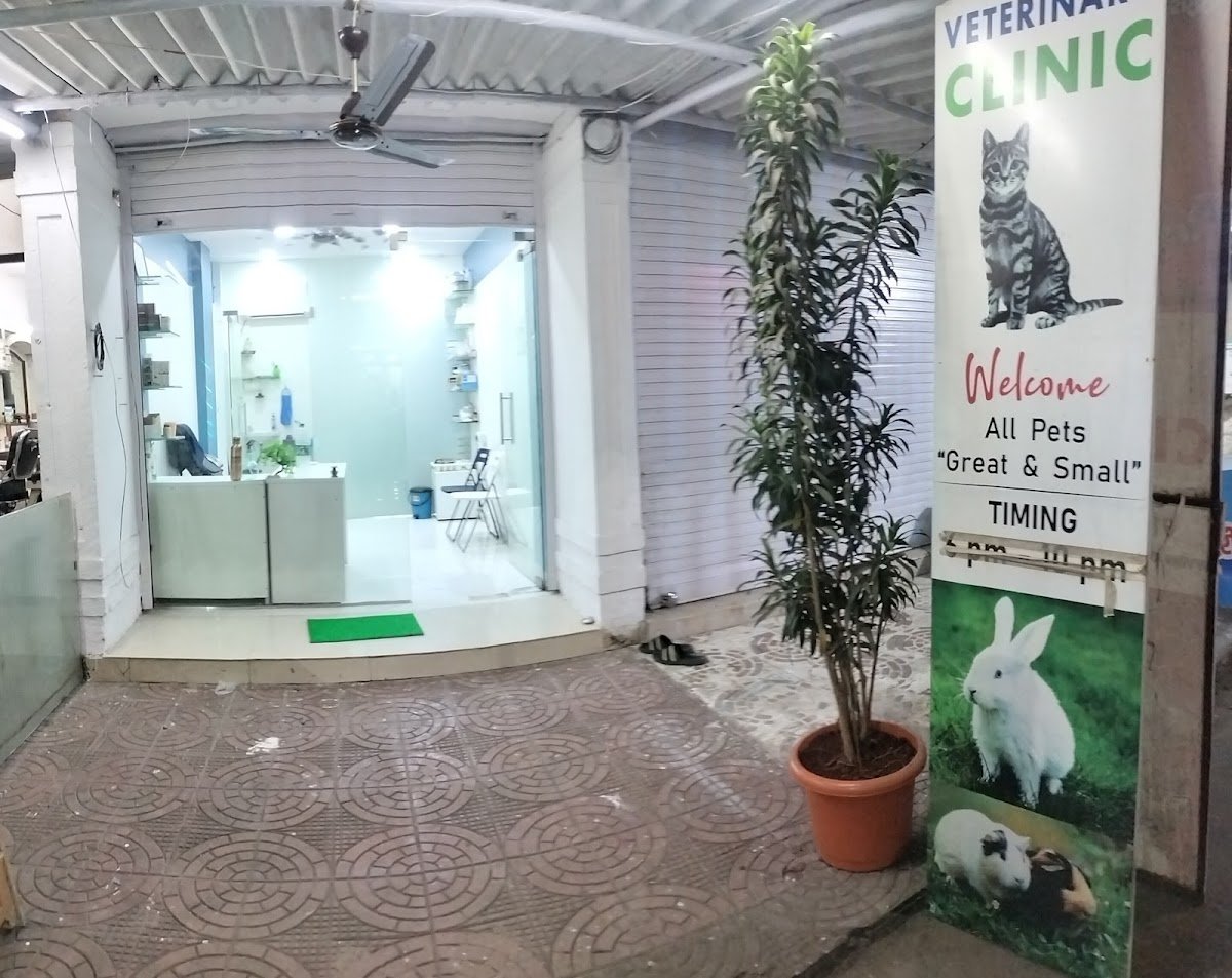 Dr Prashant's Pet Animal Clinic l Veterinary Clinic - Seawoods Nerul west - Photo 2