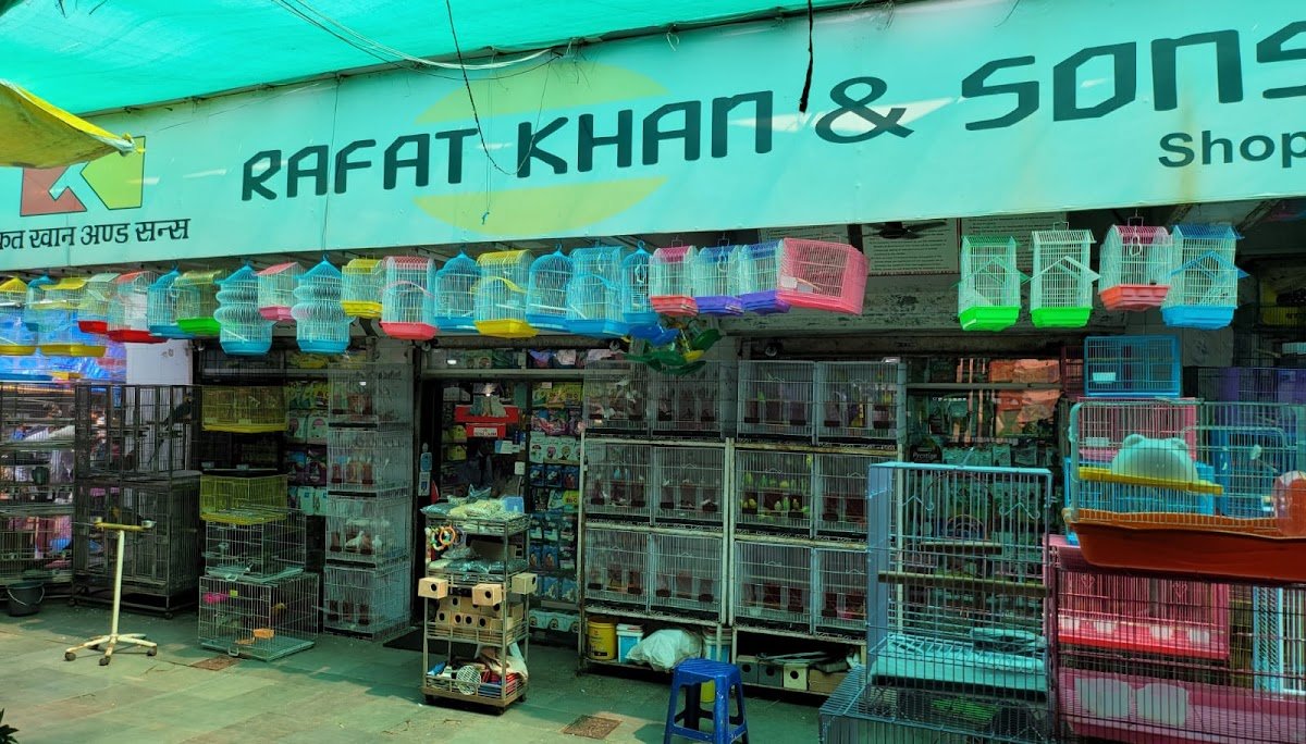 Rafat khan & Sons - Photo 2