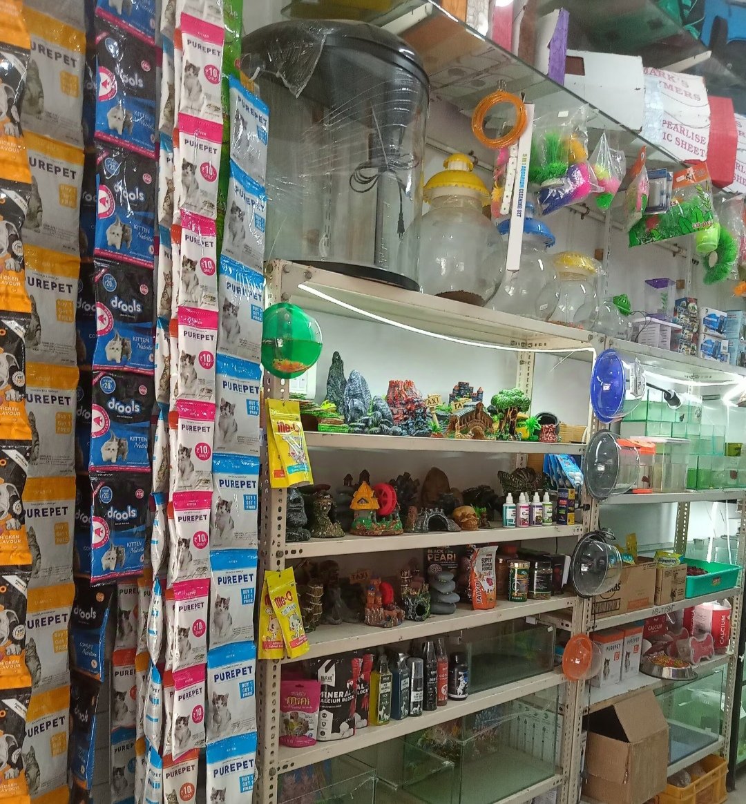 STAR PETS - Photo 2