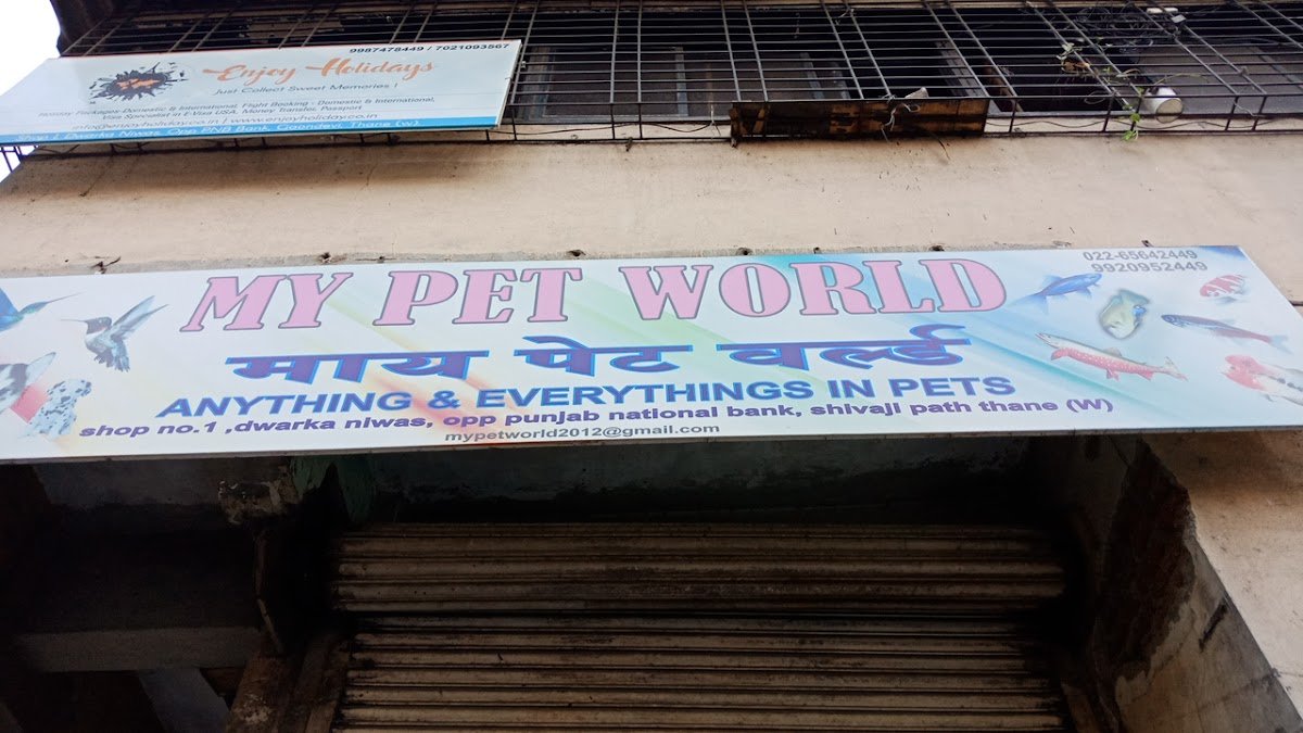 My Pet World - Photo 2