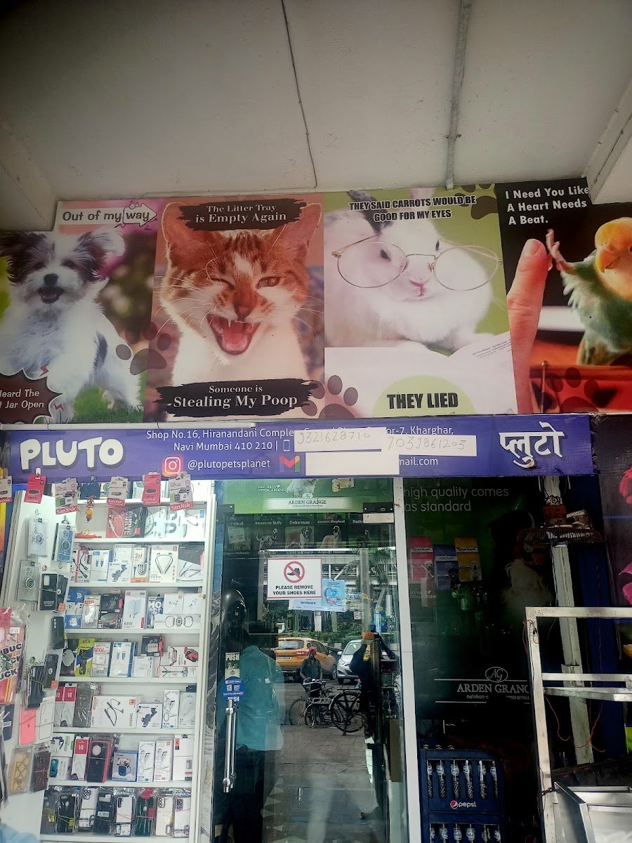 Pluto Pets Planet ( orange Collar ) - Photo 2
