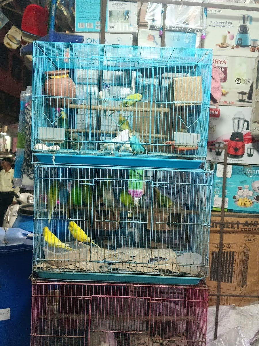 A J Aquarium - Photo 2