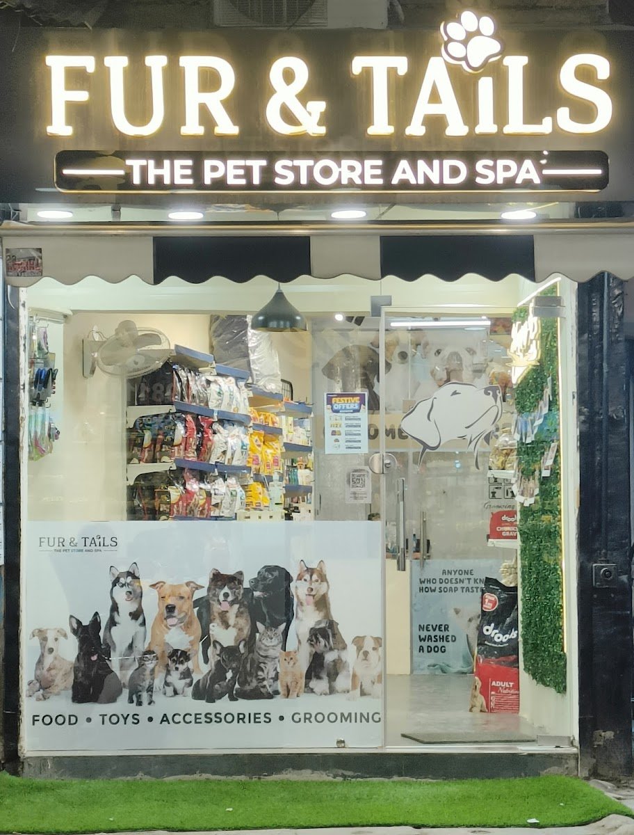 Fur & Tails - Pet Store & Spa | Best Pet Shop in Vishnu Garden - Photo 2