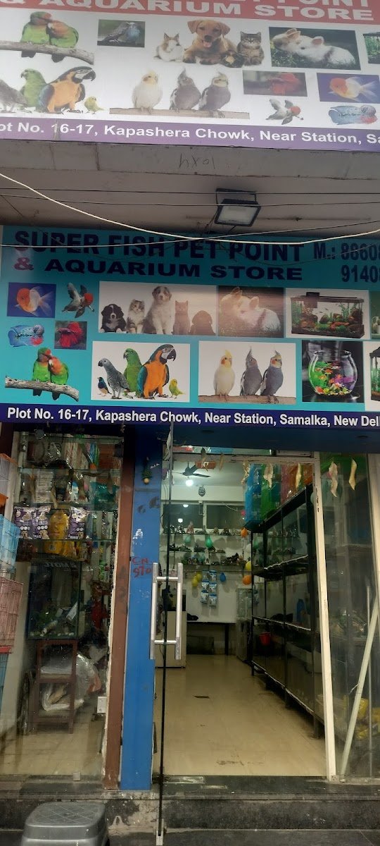 Super fish pet point - Photo 2