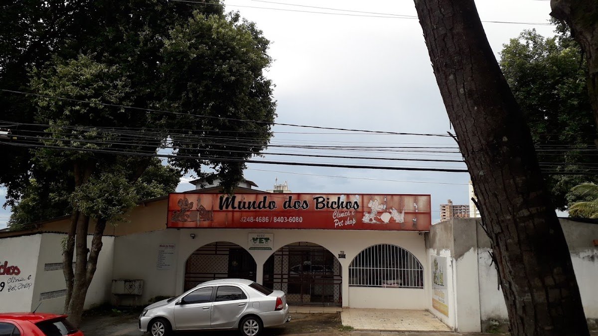 Mundo dos Bichos - Goiânia